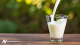 Dairy Milk Hormones’ Effects on Cancer 