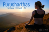 The Four Goals of Life • Yoga Basics